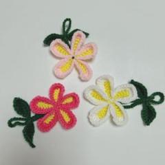 編み物　雑貨　プルメリア