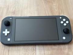 ち*様 Nintendo Switch Lite グレー 本体 ジャンク ジャンク Nintendo Switch Lite グレー ①