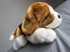 ボブ ビーグル Bob Beagle 犬 ぬいぐるみ Bob Beagle - Douglas Toys