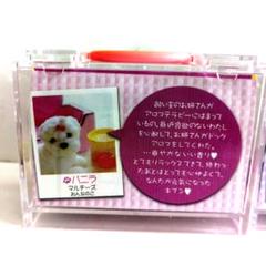 2025年最新】わんちゃんの リーメントの人気アイテム - メルカリ