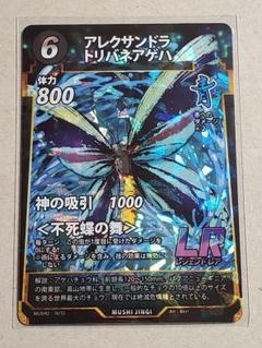 アレクサンドラ トリバネアゲハ LR 蟲神器 LR アレクサンドラトリバネアゲハ