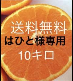 2025年最新】せとか みかん 10kgの人気アイテム - メルカリ