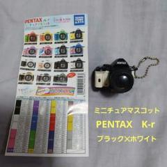 ♯Hri07HZペンタックスPENTAX K-rミニチュアマスコット15種 コンプリート】PENTAX K-r ミニチュアマスコット ペンタックス