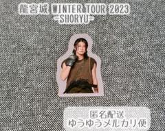 2025年最新】龍宮城 ステッカーの人気アイテム - メルカリ