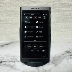 ソニー ウォークマン NW-A55 16GB 画面に気泡あり ソニー ウォークマン NW-A55 16GB 画面に気泡あり