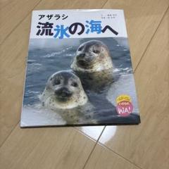 アザラシ流氷の海へ