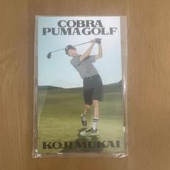 SnowMan 向井康二 Cobra Puma Golfコラボ ゴルフマーカー - メルカリ