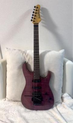 WASHBURN エレキギター パープル 6弦 WASHBURN エレキギター パープル 6弦 - メルカリ