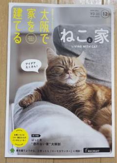 スーモ　大阪で家を建てる ねこと家　ぱっと見　窓のない家　SUUMOのサムネイル