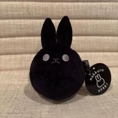 makkurousagi BIGぬいぐるみ SNSで大人気！『makkuro usagi®︎』よりBIGぬいぐるみが登場