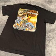 HARLEY-DAVIDSON　ピンナップTシャツ　M