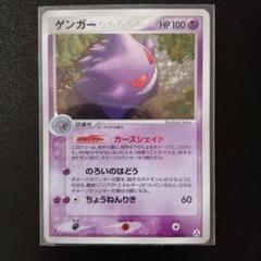 スクラッチガード DS ポケモン ポケパーク限定 新品未開封 激レア スクラッチガード DS ポケモンパーク ポケパーク限定 新品未開封