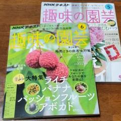 趣味の園芸 2019年5月号 6月号 2冊セット