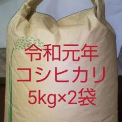 米 10kg コシヒカリ(5kg×2袋)