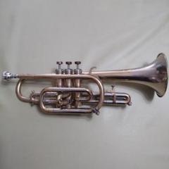 m97634334404_1.jpg?1683086093