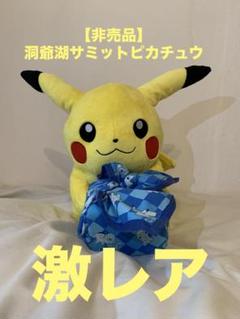 洞爺湖サミットピカチュウ 洞爺湖サミットピカチュウ - メルカリ