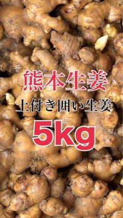 熊本生姜5 キロ 綺麗に洗ってから発送致します。 生姜専門店GINGER FACTORY / 無農薬生姜100gから熊本県産 販売/通販