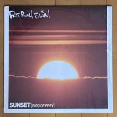 2025年最新】fatboy slim レコードの人気アイテム - メルカリ