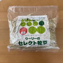 2025年最新】ウーリー牧草の人気アイテム - メルカリ