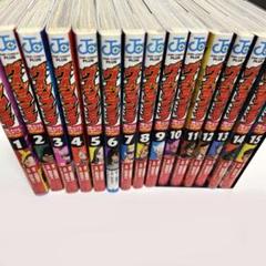 ヴィジランテ　全巻　初版 全巻初版】ヴィジランテ 1〜15巻セット｜Yahoo!フリマ（旧PayPay