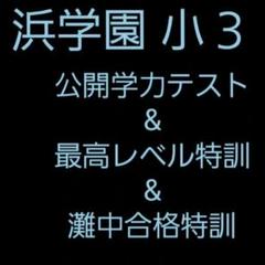 灘中合格特訓　小4国語　全12回 灘中合格特訓 小4国語 全12回 浜学園 小4 灘中