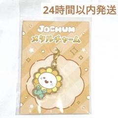 ピーハイ JOCHUM まとめ売り 2025年最新】jochum ピーハイの人気アイテム - メルカリ