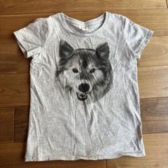 MARKGONG 犬プリント グレー Tシャツ Dog Print Jersey T-shirt (Pre-order) | Markgong
