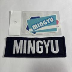 seventeen セブチワッペンミンギュ Say the neme 2025年最新】say the name ミンギュの人気アイテム - メルカリ