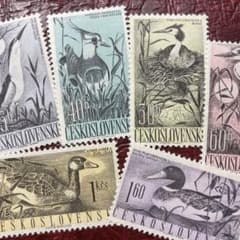 確認用！東ドイツ梟など鳥切手14種DDR貴重