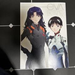 エヴァンゲリヲン　鑑賞記念品 ヱヴァンゲリヲン新劇場版：破 全記録全集 ビジュアルストーリー版
