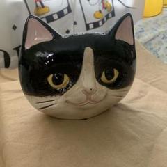 蚊取り　ハチワレネコ