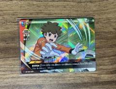 イナズマイレブン　立向居勇気　カード　45枚　プレカ　ライセンス　プレミアム イナズマイレブン 立向居勇気 カード 45枚 プレカ ライセンス