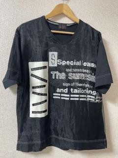 santa fe tシャツ　サイズ4 vネック　中古　美品