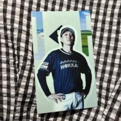 宮西尚生　WE LOVE HOKKAIDO 2025ステッカー