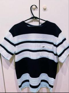 【定価約10000円相当】クロコダイルTシャツ2枚セット 美品M