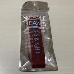 嵐を旅する展覧会 ラゲッジマーク 5色セット 嵐を旅する展覧会グッズ 松本潤くんカラー紫 BE@RBRICK ラゲッジ