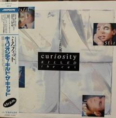 【廃盤12inch】Curiosity Killed The Cat / Mis