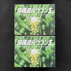 2025年最新】沖縄還元ウコンの人気アイテム - メルカリ