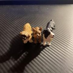 イヌ・ネコ・鳥 -シュライヒ | 動物・恐竜フィギュアのZOOO!