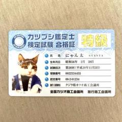 ✨新品・レトロ✨なめんなよ カード なめねこ なめ猫 にゃん太 カツブシ鑑定士