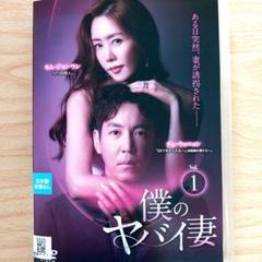 韓国ドラマDVD【怪しい家政婦】【レンタル落ちDVD】【全話】【匿名発送】 韓国ドラマDVD【怪しい家政婦】【レンタル落ちDVD】【全話