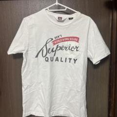 BEN DAVIS スーペリアクオリティ Tシャツ