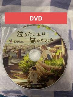 泣きたい私は猫をかぶる DVD アニメ