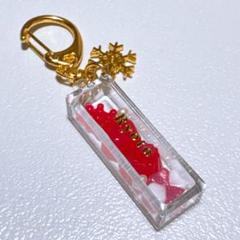 宮舘涼太 だてさま 名入れ チャーム キーホルダー SnowMan 箱推し