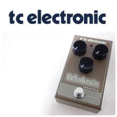 大人気☆tc electronic☆ECHO BRAIN☆アナログディレイ