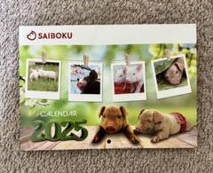 aibo プレミアムプラン首輪と2025カレンダー新品未開封 aibo プレミアムプラン首輪と2025カレンダー新品未開封 - メルカリ