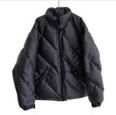 supreme Iridescent Puffy Jacket down