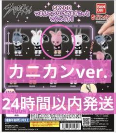 2025年最新】SKZOO つまんでつなげてますこっと でらっくすの
