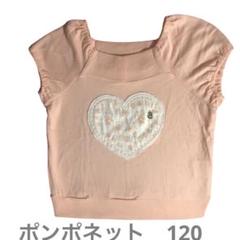 pom ponette ポンポネット　120
