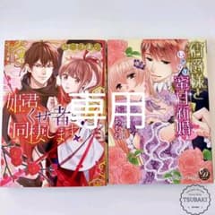 姫君、くせ者と同棲します！ の中古/未使用品 - メルカリ